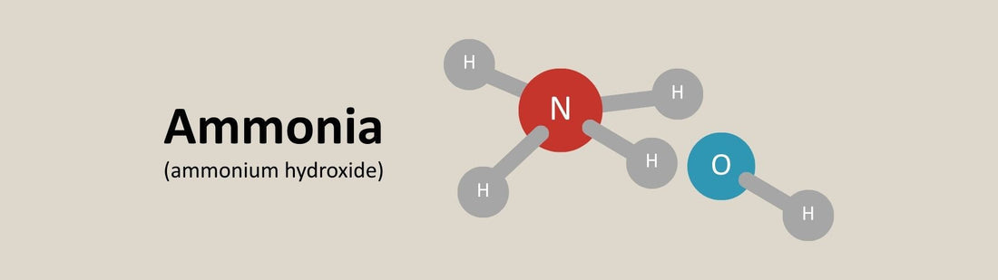 What is Ammonia – and Why We Don’t Use It